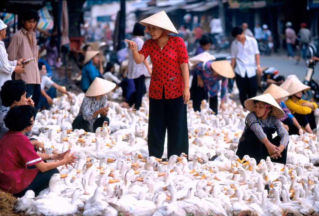 Chợ bán sỉ vịt và ngỗng họp ở khu Chợ Lớn, gần nhà thờ Cha Tam, TP HCM năm 1996. Ảnh: Hiroji Kubota/ Magnum Photos.