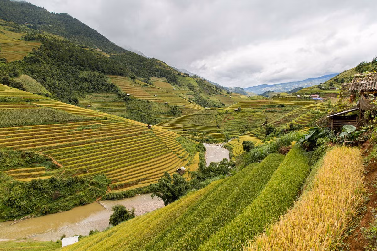 Ruộng bậc thang ở Mù Căng Chải. Ảnh: Mathieu Arnaudet - 500px.com.