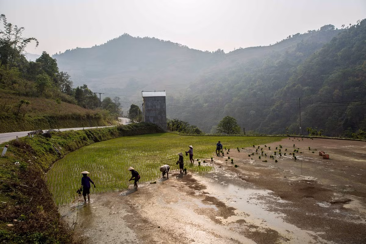 Người nông dân làm ruộng bên con đường đến Lạng Sơn. Ảnh: Mathieu Arnaudet - 500px.com.