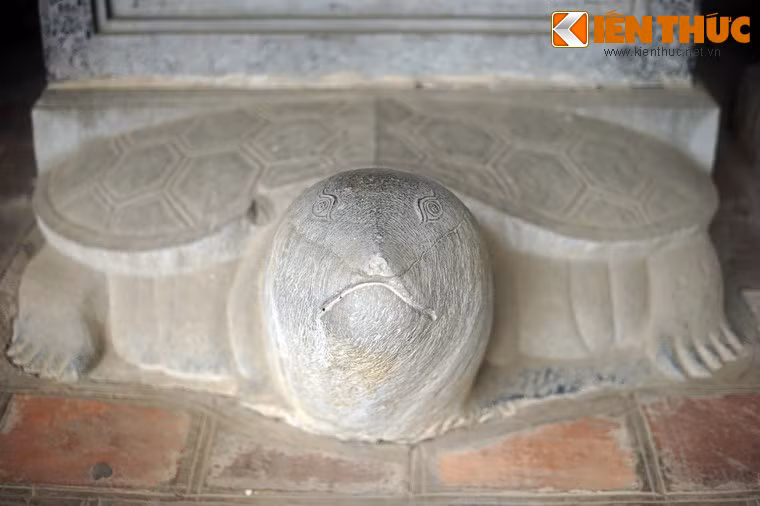 Những bia sau này, rùa còn có các tấm mai hình lục giác trên lưng, mai cong và có một gờ nhỏ chạy dọc sống lưng, cách tạo hình mềm mại và sinh động hơn.
