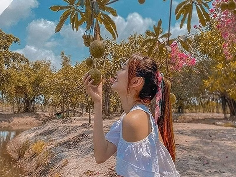 Minh Hằng sở hữu khối tài sản “khủng”. Cô tậu biệt thự nguy nga như tòa lâu đài ở vị trí đắt đỏ tại TP HCM. Nữ ca sĩ còn mua căn hộ 125m2 trị giá khoảng 20 tỷ đồng. Bên cạnh đó, Minh Hằng có trong tay mảnh vườn rộng rãi có đủ cây ăn trái, ao cá rộng tới 20.000m2 ở Đồng Nai. Ảnh: FB Minh Hằng.