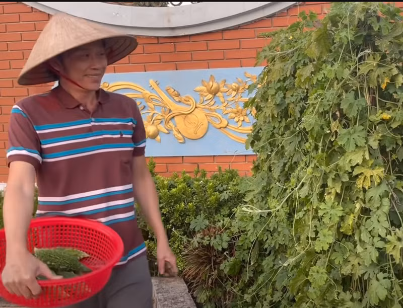 Hoài Linh thích thú mỗi khi thu hoạch rau trái. Ảnh: Youtube Hoài Linh.