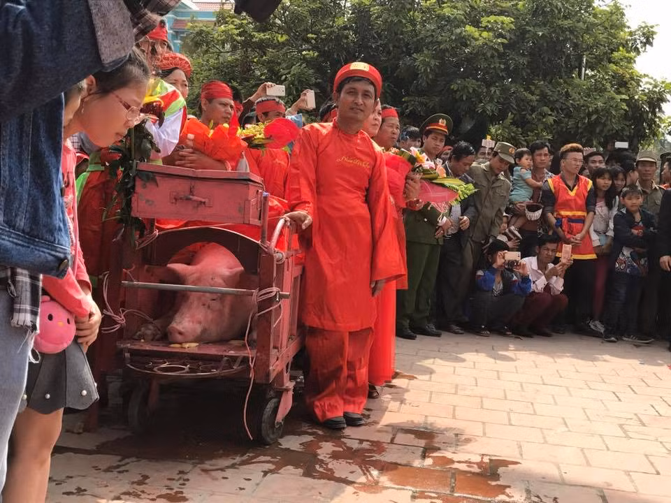 Anh: Nghi thuc chem lon duoc to chuc kin o Nem Thuong