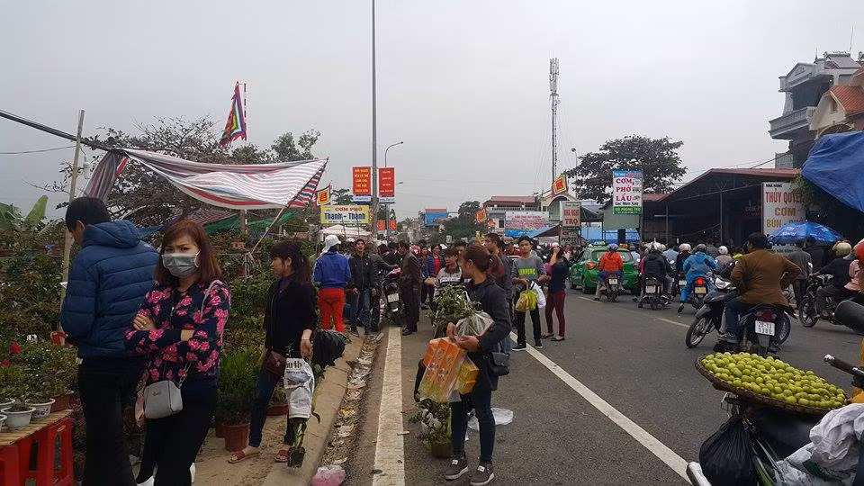 Cây cảnh là mặt hàng thu hút đông sự chú ý của người dân.