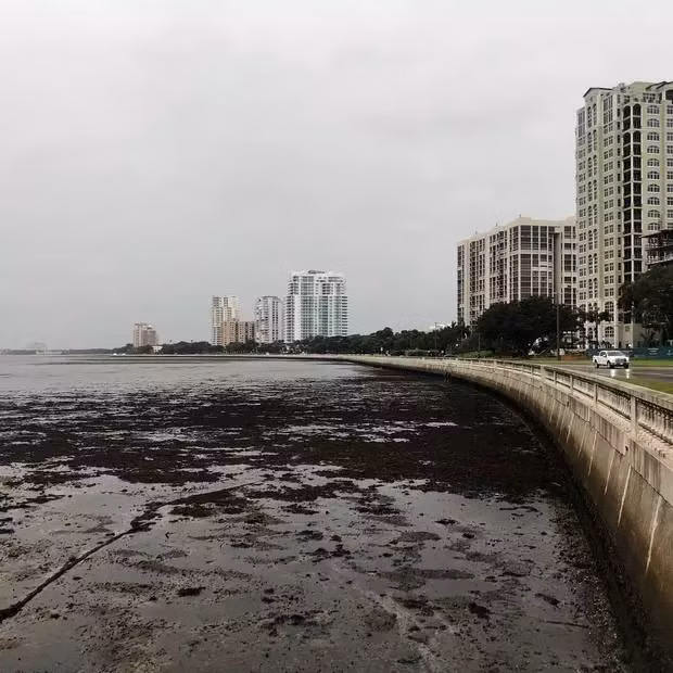 Từ video được người dân đăng tải, có thể thấy các bãi biển trải dài bị cạn đáy sau khi nước rút nhanh, một hiện tượng hiếm gặp trước những cơn bão bất thường.