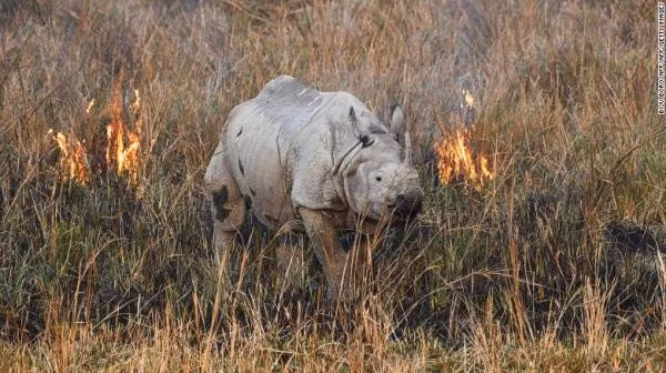 Theo Danh sách Đỏ của Liên minh Bảo tồn Thiên nhiên Quốc tế (IUCN) về các loài bị đe dọa, khoảng 41.000 - gần một phần ba tổng số loài được đánh giá - hiện đang bị đe dọa tuyệt chủng.