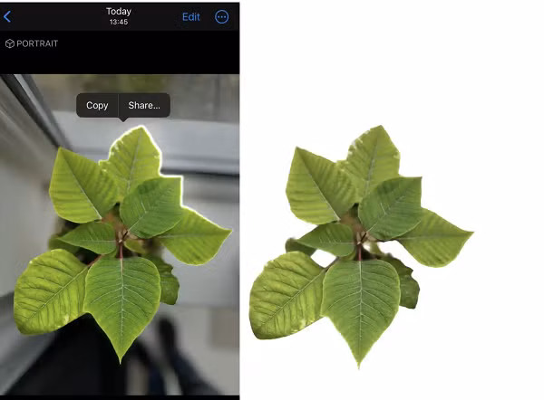 Giờ đây, với iOS 16 người dùng còn có thể chạm và nâng chủ thể tiền cảnh như người hoặc chó ra khỏi hậu cảnh và thêm "ảnh cắt" vào các ứng dụng khác để chia sẻ hoặc tạo ảnh ghép. Tuy nhiên, tính năng này chỉ hỗ trợ iPhone XS trở lên.