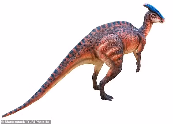 Khủng long chân chim hay Ornithopods là một nhóm các loài khủng long thuộc nhánh Ornithopoda, bộ Ornithischia, các loài cổ nhất là những khủng long nhỏ, chạy bằng hai chân và ngày càng phát triển về kích thước và số lượng cho đến khi chúng trở thành một trong những nhóm động vật ăn cỏ thành công nhất trong thế giới kỷ Phấn trắng và thống trị cảnh quan Bắc Mỹ.
