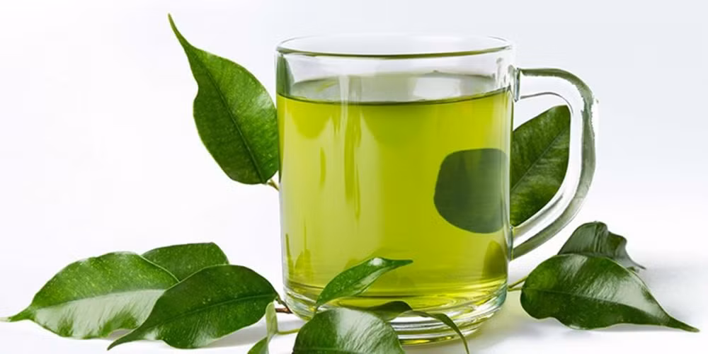 Trà xanh: Trong nước trà xanh có rất nhiều phenol, đặc biệt có tác dụng tiêu viêm, ức chế và tiêu diệt các vi khuẩn và siêu vi trùng có hại trong miệng, giúp làm sạch khoang miệng và mang lại cảm giác sảng khoái, ngăn ngừa chứng hôi miệng “ghé thăm”. (Ảnh: KHDS)
