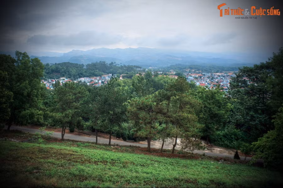 Trong chiến dịch Điện Biên Phủ, đồi D1 là một cứ điểm quan trọng trong dãy đồi phòng ngự phía Đông, có nhiệm vụ che chở cho trung tâm Tập đoàn cứ điểm của quân Pháp. Đây là mục tiêu của quân ta trong đợt tấn công thứ hai bắt đầu vào chiều ngày 30/3/1954.