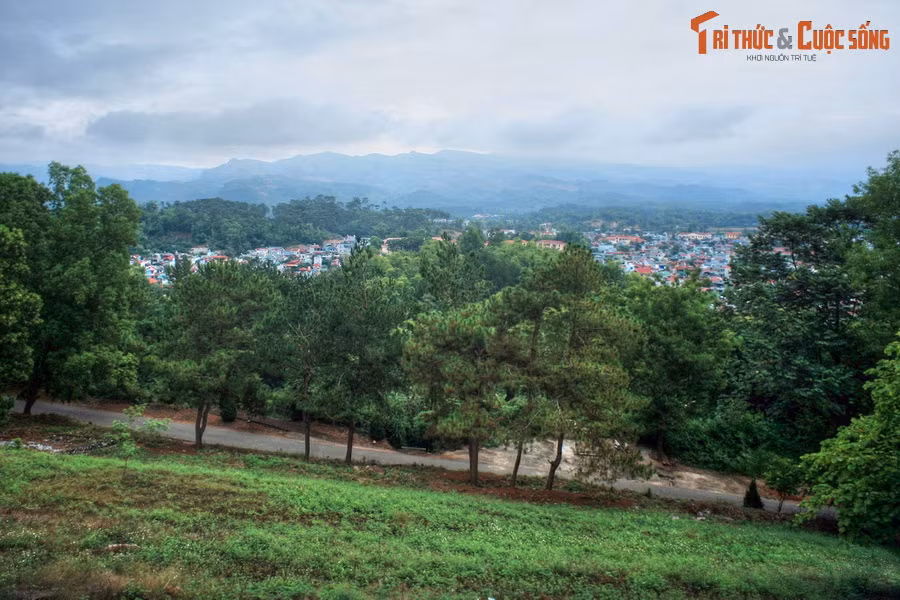 Trong chiến dịch Điện Biên Phủ, đồi D1 là một cứ điểm quan trọng trong dãy đồi phòng ngự phía Đông, có nhiệm vụ che chở cho trung tâm Tập đoàn cứ điểm của quân Pháp. Đây là mục tiêu của quân ta trong đợt tấn công thứ hai bắt đầu vào chiều ngày 30/3/1954.