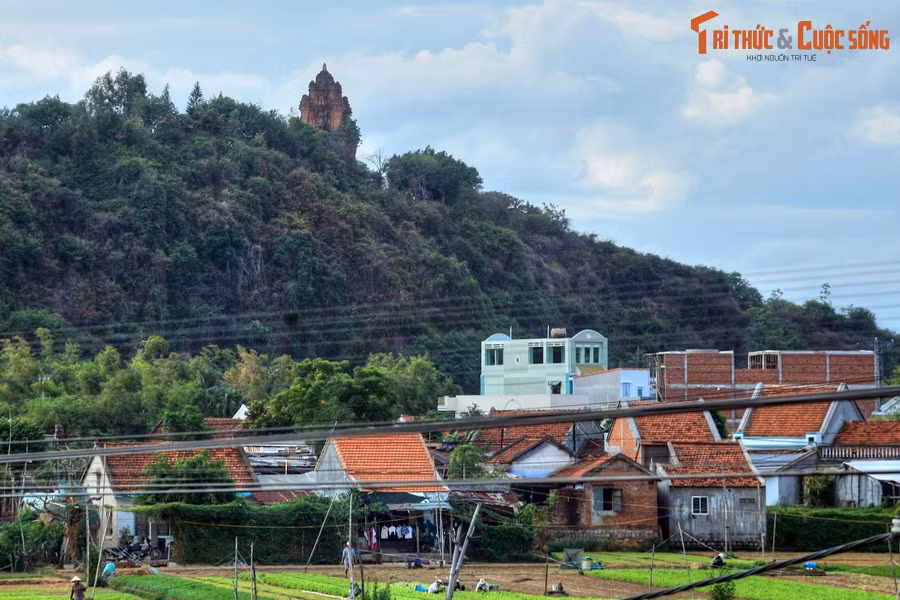  6. Tháp Nhạn. Nằm trên núi Nhạn, một thắng cảnh nổi tiếng của thành phố Tuy Hòa, tỉnh Phú Yên, tháp Nhạn được người Chăm sinh sống ở lưu vực châu thổ sông Ba xây dựng vào khoảng thế kỉ 12.