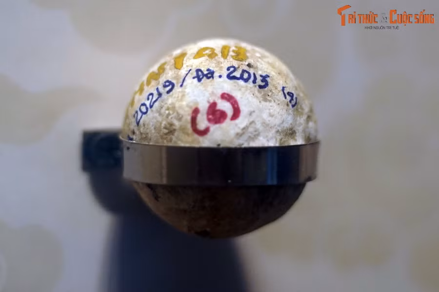 Một số viên đạn còn ám khói chứng tỏ chúng được bắn đi từ nòng của một khẩu súng nào đó, theo cơ chế dùng sức ép của thuốc nổ bắn đạn đá.