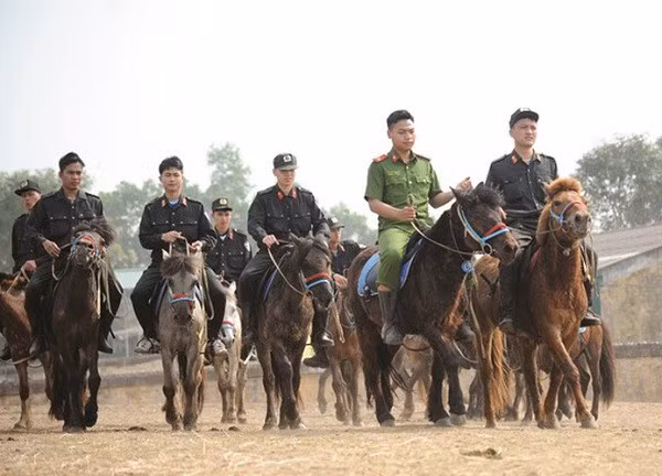 Theo Bộ Công an, tính tới nay, lực lượng chức năng đã nhân giống được 4 ngựa con, trọng lượng sơ sinh từ 23-28 kg. Về công tác huấn luyện, kỵ binh đã thuần hóa, huấn luyện và làm chủ được 65/71 ngựa hoang dã, làm tốt công tác chăn nuôi, chăm sóc đảm bảo sức khỏe đàn ngựa trong giai đoạn nuôi thích nghi tại Việt Nam…