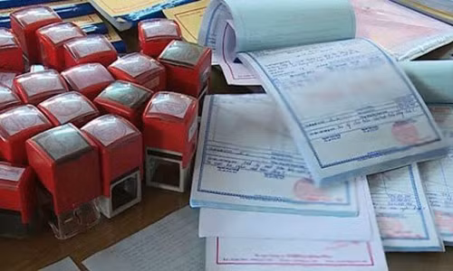 Mua ban hoa don khong dang dien ra nhu the nao?