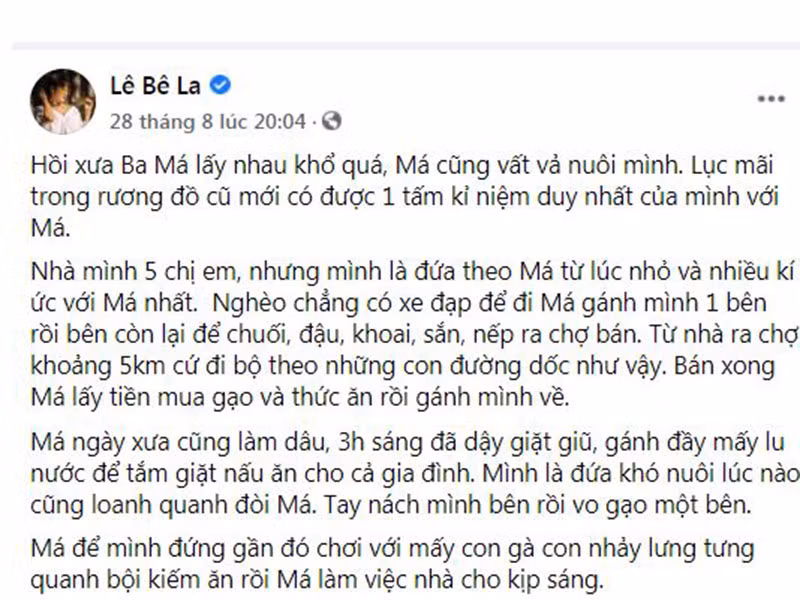 Trong những ngày gian khó, mẹ của Lê Ba La vừa gánh con vừa gánh hàng đi bán và dậy từ 3h sáng để giặt giũ, gánh nước.