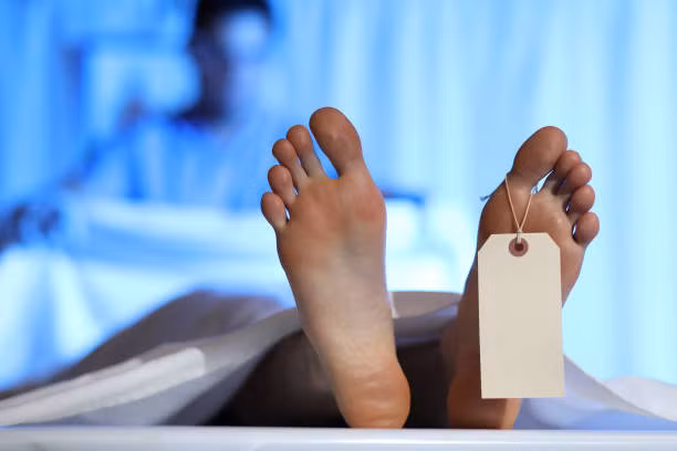 Vài tiếng sau khi qua đời, tử thi sẽ liên tục giảm nhiệt độ cho tới khi cứng đơ ở mức ATP (các phân tử vận chuyển năng lượng đến các tế bào).