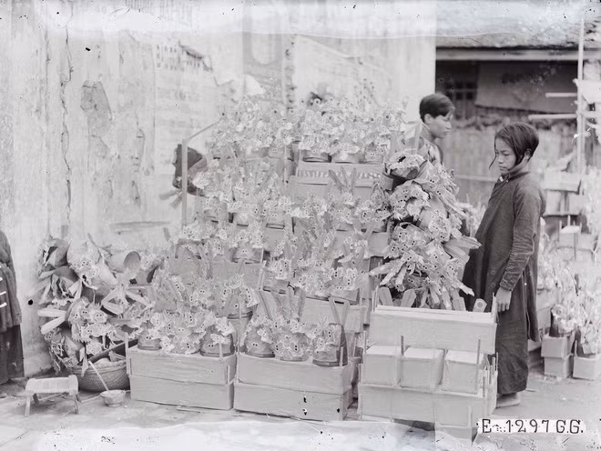 Để chuẩn bị cho Tết âm lịch, nhiều gia đình ở Bắc Bộ những năm 1920 đã đi mua sắm những thứ cần thiết từ sớm như: cành đào, hoa tươi, lá dong, bánh mứt kẹo, pháo... Trong ảnh là một quầy bán mũ ông Công ông Táo được nhiều gia đình mua về làm lễ cúng Táo quân vào ngày 23 tháng Chạp.