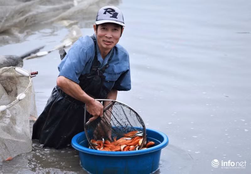 Trong những năm trở lại đây, để nghề nuôi cá phát triển đem lại hiệu quả kinh tế cao, các hộ gia đình trong làng đã tích cực dồn điền, đổi thửa, củng cố xây dựng bờ ao, áp dụng các tiến bộ khoa học kỹ thuật vào nuôi cá.