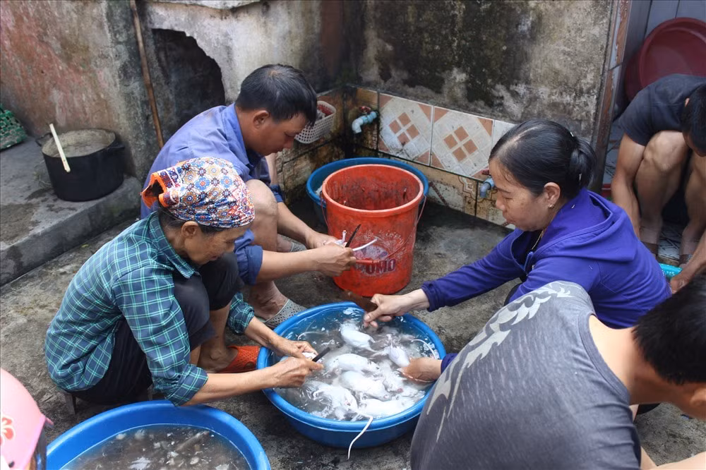 Cách sơ chế, làm lông chuột thật sạch.