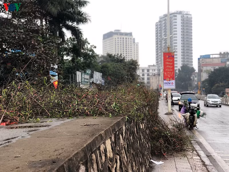 30 Tet, he pho Ha Noi ngap ngua trong rac-Hinh-10