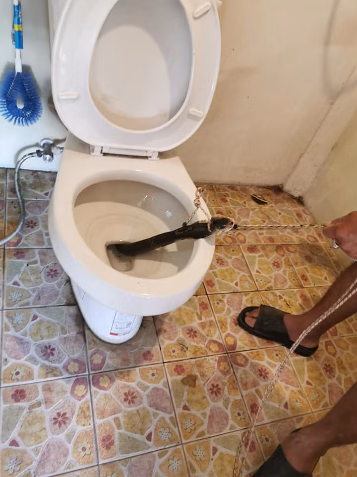 Ngoi bon cau, nguoi dan ong 