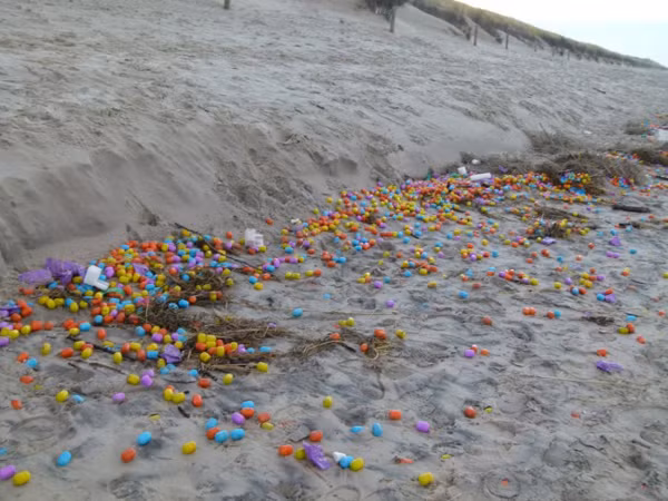 Hàng ngàn quả trứng Kinder Egg và đồ chơi LEGO từ đâu trôi dạt vào bờ biển Langeoog, một hòn đảo nhỏ ở Đức. Nguyên do được cho là vì một vài chiếc container đã bị đánh bật ra khỏi một con tàu chở hàng trong giông bão.