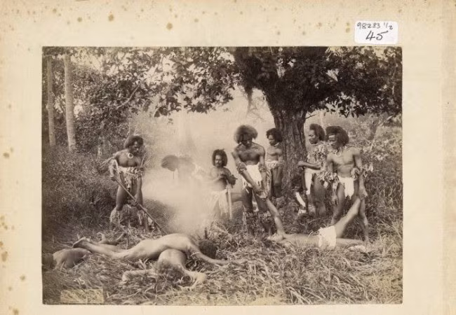 Ảnh minh họa người Fiji ăn thịt người thế kỷ 19.