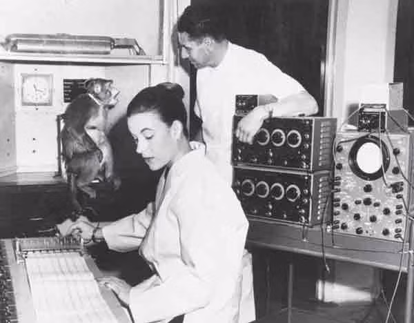 Đặc biệt, trong khoảng thời gian từ năm 1950 - 1960, nhà khoa học Delgado thực hiện cấy ghép điện cực vào não động vật linh trưởng và sử dụng điều khiển từ xa phát tần số vô tuyến để khiến chúng thực hiện các chuyển động phức tạp.