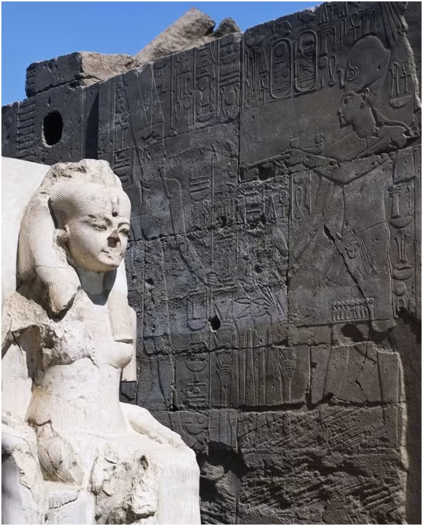 Vua Tutankhamun là người em trai có cùng một nửa dòng máu (cùng cha khác mẹ) và cũng là em họ của Ankhesenamun.