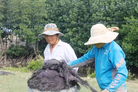 Bà Lâm (áo xanh) chuẩn bị xuất bán rau câu chỉ cho thương lái.