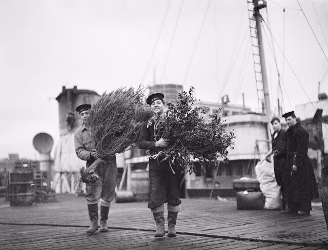 Thủy thủ ôm trên tay những cây nhỏ dùng để trang trí thành cây Giáng sinh trên tàu của Anh năm 1941.