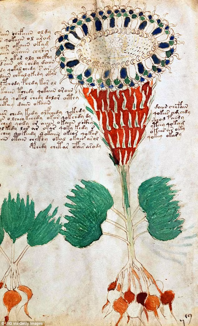 Bản thảo Voynich gồm 250 trang bằng da thuộc. Bên trong cuốn sách chứa rất nhiều hình vẽ vật thể như cây cối, thiết bị thí nghiệm cổ xưa, ký hiệu chiêm tinh...