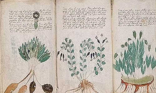 Ra đời từ đầu thế kỷ 15, bản thảo Voynich bí ẩn được cho viết dưới dạng mật mã để che giấu nội dung thật. Đây được xem là một thủ thuật khá phổ biến vào thời kỳ đó.