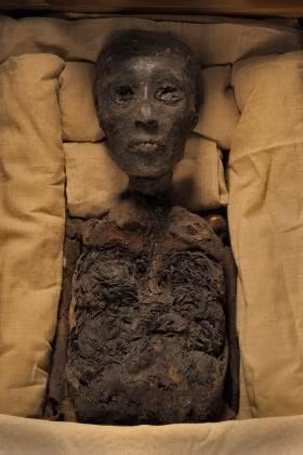 Tuy nhiên, sau khi mở lăng mộ của pharaoh Tutankhamun, một số người có có mặt lúc mở mộ qua đời một cách đột ngột và bí ẩn.