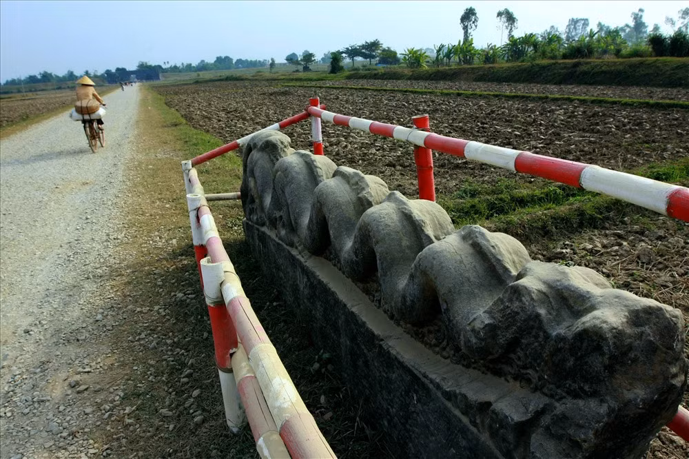 Tiến sĩ Phạm Văn Đấu (Hội sử học Thanh Hoá) đánh giá đôi rồng đá ở Thành nhà Hồ thuộc loại tượng rồng lớn và đẹp nhất hiện còn lại ở Việt Nam.