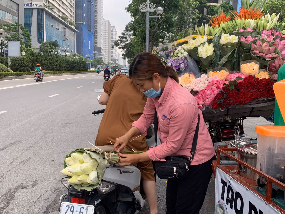 Ngoài lan hồng truyền thống thì năm nay vẫn có lan trắng hay còn gọi là Bạch Liên bán trên thị trường.