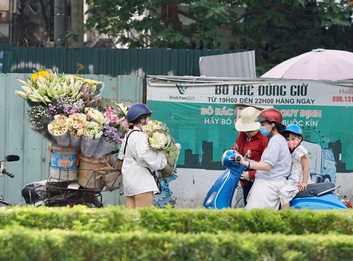 Giá Bạch Liên cũng tương đương với sen hồng nhưng tỷ lệ bán được ít hơn. Trên mỗi xe bán hoa thường chỉ có 4-5 bó Bạch Liên còn chủ yếu vẫn là sen hồng.