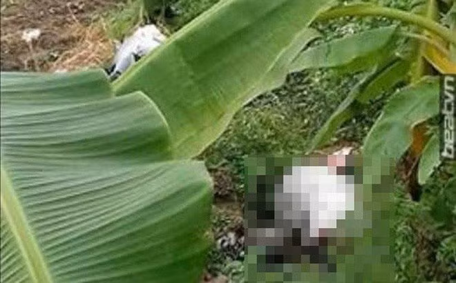 Trước đó, khoảng 16h ngày 7/11, người dân phát hiện thi thể chị B. tại khu vực hoang vắng thuộc xã Tà Xi Láng. Chị Bê bị trói chân tay, nghi bị cưỡng bức trước khi chết. Nơi phát hiện thi thể nạn nhân cách nhà 2km. Đây là khu vực không có điện, sóng điện thoại cũng rất kém. Chị Bê đã có chồng, nhưng hai bên gia đình chưa tổ chức làm đám cưới. Họ vẫn đi lại với nhau và nạn nhân cũng về sống chung như vợ chồng.