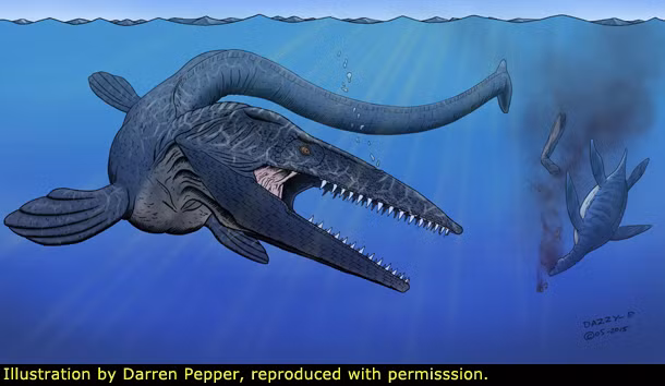 3. Khủng long biển Tylosaurus: Đây là một loài động vật săn mồi đáng sợ nhất sống ở cuối kỷ Phấn Trắng. 
