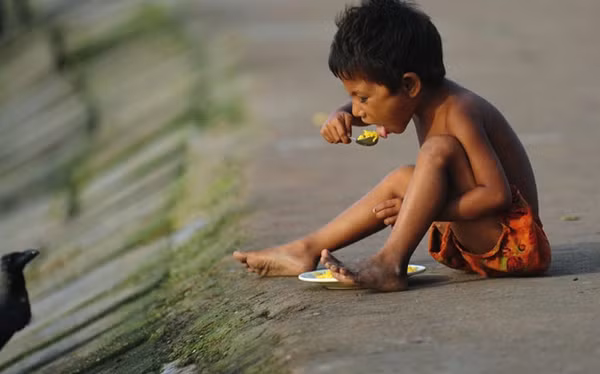 Kịch bản xấu nhất là cuộc chiến tranh hạt nhân toàn diện nổ ra giữa Mỹ và Nga. Hậu quả sẽ là hơn năm tỷ người sẽ bị chết đói trong hai năm sau đó. Ngay cả một cuộc xung đột quy mô nhỏ giữa Ấn Độ và Pakistan cũng có thể dẫn đến nạn đói khắp thế giới.