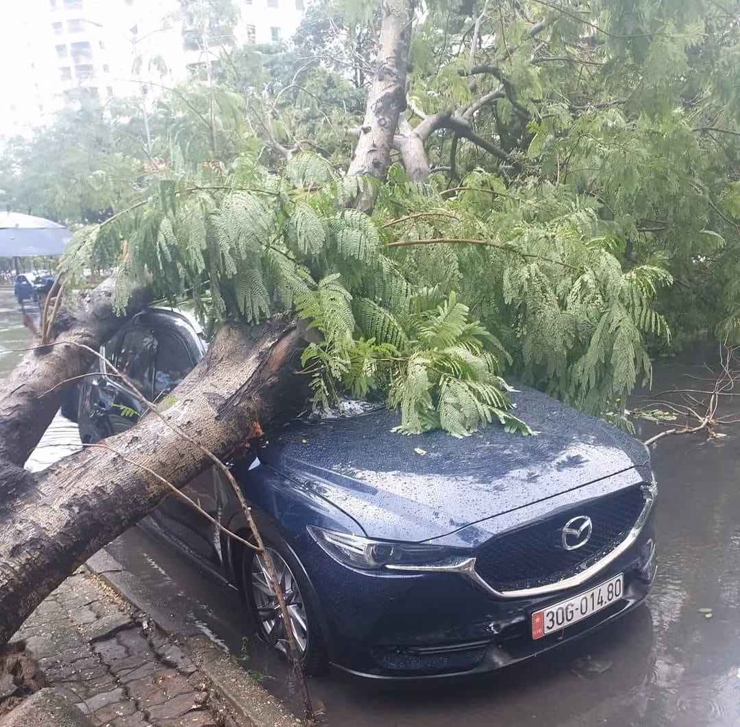  Xe Mazda CX5 bị cây đổ đè trúng trong trận mưa giông lớn: Ngày 20/9, đại diện Công an phường Trung Hòa (Cầu Giấy) cho biết, đơn vị đang phối hợp với các lực lượng chức năng để xử lý hiện trường chiếc xe Mazda CX5 bị cây cổ thụ đè trúng. Theo đó, vào khoảng 15h, khi đang đỗ tại khu vực ngã tư Hoàng Ngân – Hoàng Đạo Thúy, chiếc xe Mazda CX5 đã bất ngờ bị cây muồng đổ, đè trúng ngang thân, khiến chiếc xe này bị móp méo phần trần xe. Rất may, tài xế không có trong xe tại thời điểm xảy ra vụ việc nên không có thương vong về người.