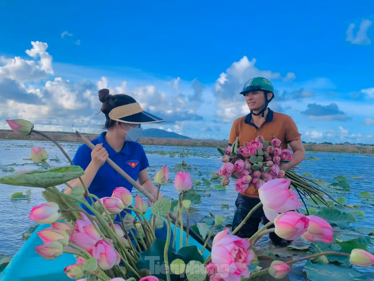 Ra dam hai sen luc rang sang, moi ngay thu tien trieu-Hinh-6