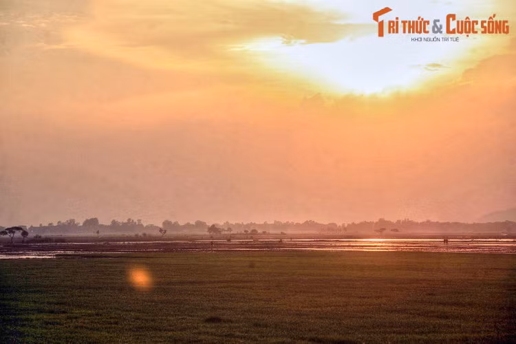 Hoàng hôn trên đồng lúa ở huyện An Phú, An Giang. Vùng đồng bằng rộng lớn và màu mỡ của tỉnh An Giang được coi là vựa lúa lớn nhất của cả nước.
