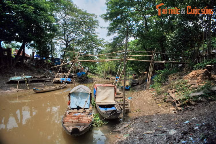 Cảnh thôn quê bình yên ở làng Phù Dật, huyện Châu Phú, An Giang. Ngôi làng này nổi tiếng với nghề săn bắt và buôn bán chuột đồng, một đặc sản hấp dẫn của miền Tây Nam Bộ.