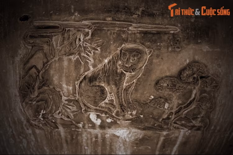 Một loài vật "Sách Đỏ" khác xuất hiện trên Cao đỉnh là hổ, loài lớn nhất họ Mèo. Trong sách đó Việt Nam, chúng được xếp vào hạng Rất nguy cấp. Ngày nay loài hổ gần như đã biến mất trong môi trường hoang dã ở Việt Nam.