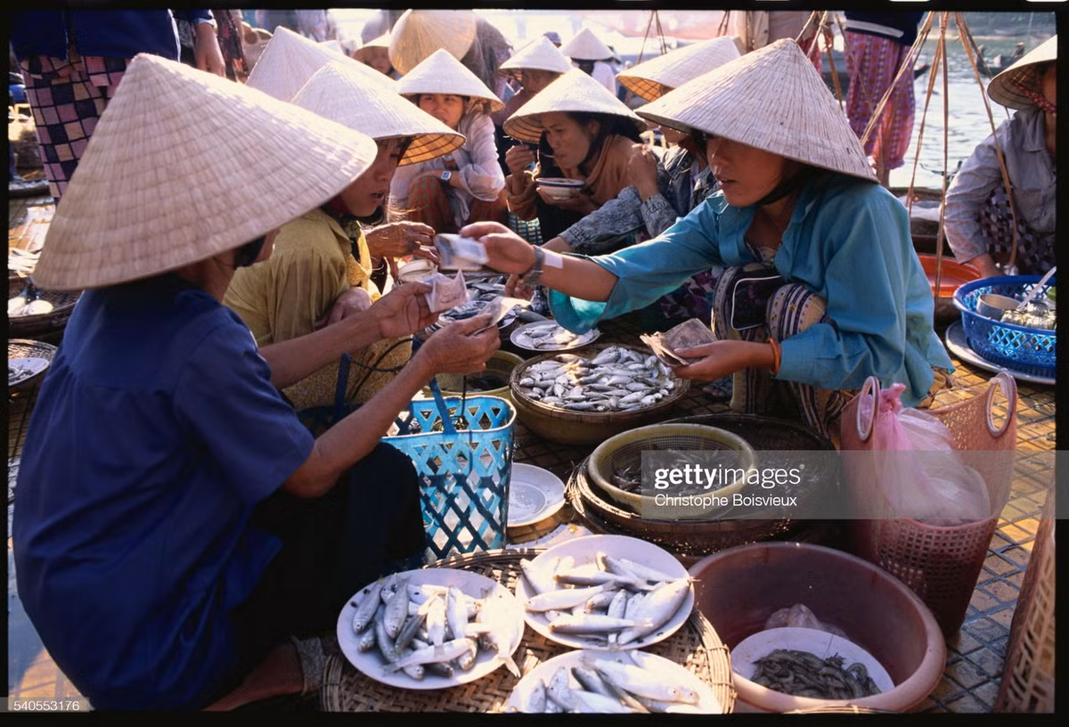 Các bà các cô mua bán cá ở chợ Hội An.