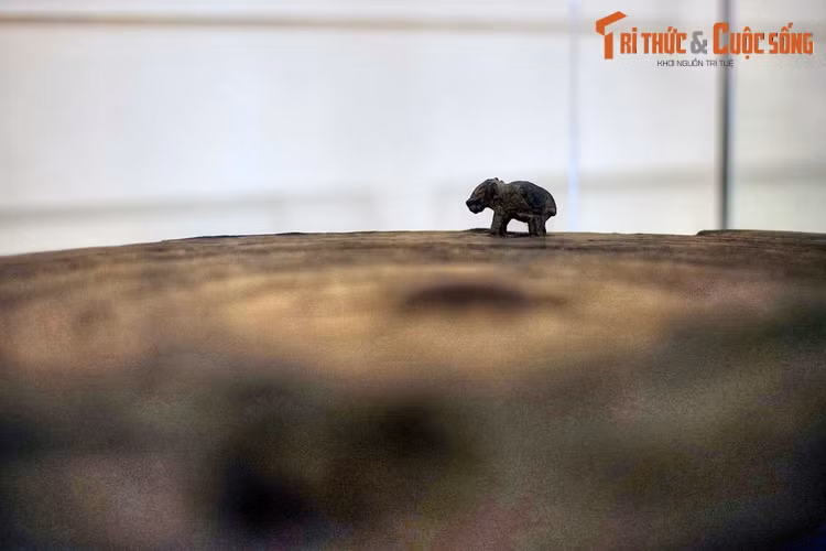 Người xưa đưa hình tượng voi lên trống đồng nhằm thể hiện ý nghĩa gì, cho đến nay vẫn chưa có lời giải đáp thấu đáo. Nhưng điều này khẳng định con voi đã là loài vật gần gũi với người Việt cổ từ hàng ngàn năm trước.