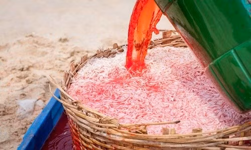 Bộ Y tế vào cuộc vụ nhuộm ruốc bằng hóa chất Bo Y te vao cuoc vu nhuom ruoc bang hoa chat