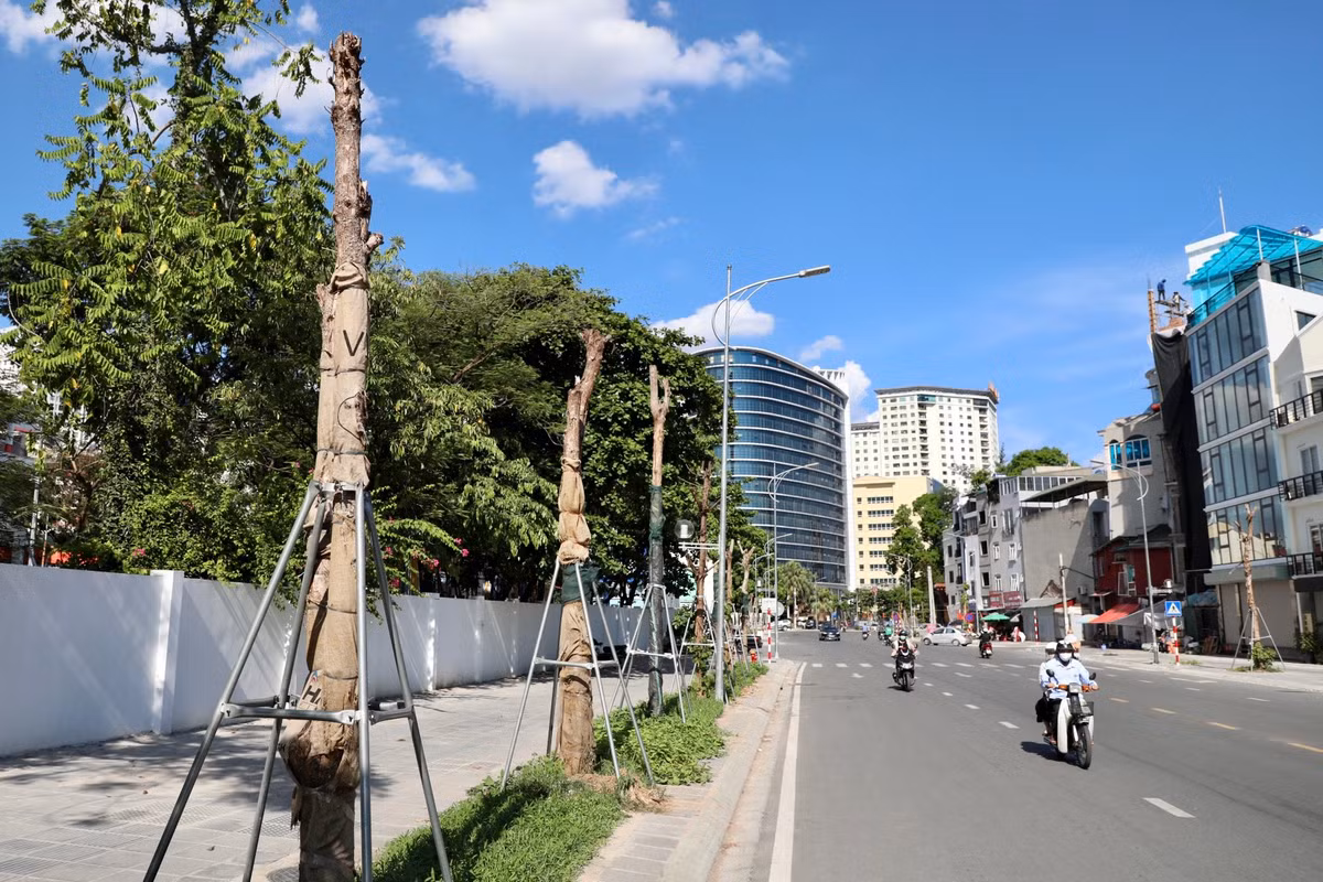 Tuyến đường Huỳnh Thúc Kháng kéo dài có chiều dài khoảng 1,3km, bề rộng mặt cắt ngang đường từ 28,3 - 30m, điểm đầu giao với ngã tư Huỳnh Thúc Kháng - Nguyễn Chí Thanh, điểm cuối tại vị trí nút giao Voi Phục.